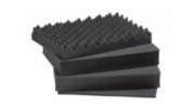 FOAM 4419