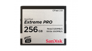 SDCFSP-256G-G46D
