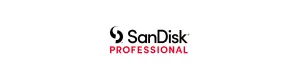 SandiskProfessional