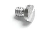 Merlin Screw