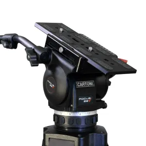 FOCUS 22 Cine - Cartoni