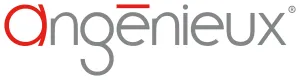 Angenieux Angenieux