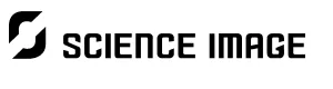 Science Image Science Image