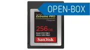 SDCFE-256G-GN4NN