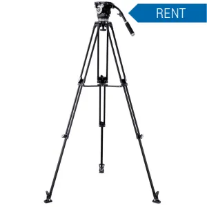 RENT G-1216A - Gizomos